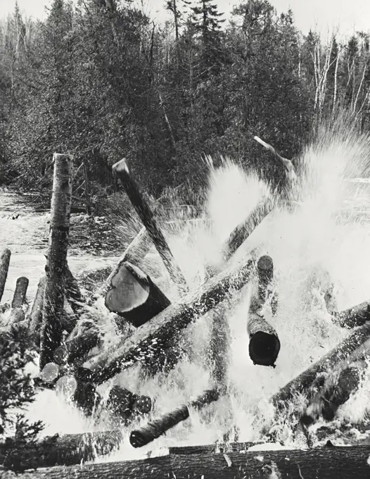 Vintage photograph. Spring log drive in Canada