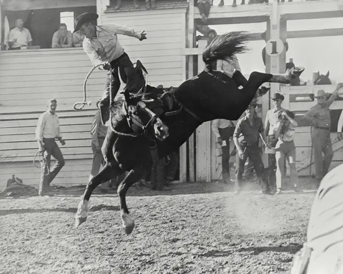 Vintage photograph. Saddle bronco riding at Pendleton, Oregon