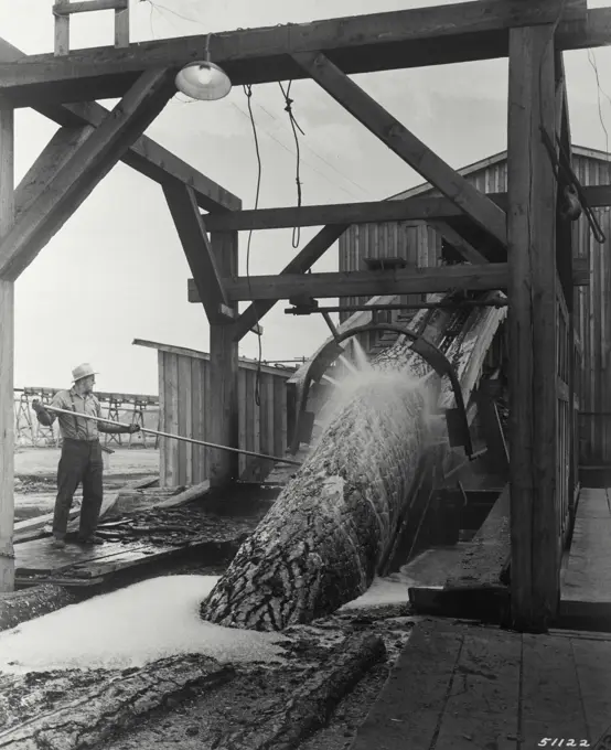 Washing yellow pine logs before entering the saw mill