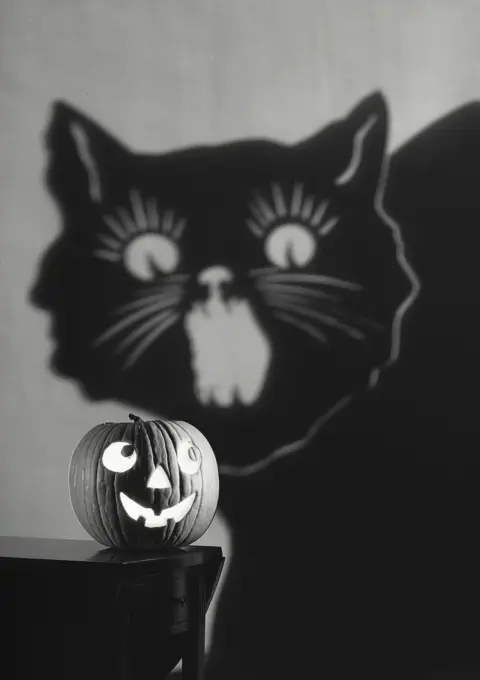 Vintage photograph. Jack o' Lantern with cat shadow in background