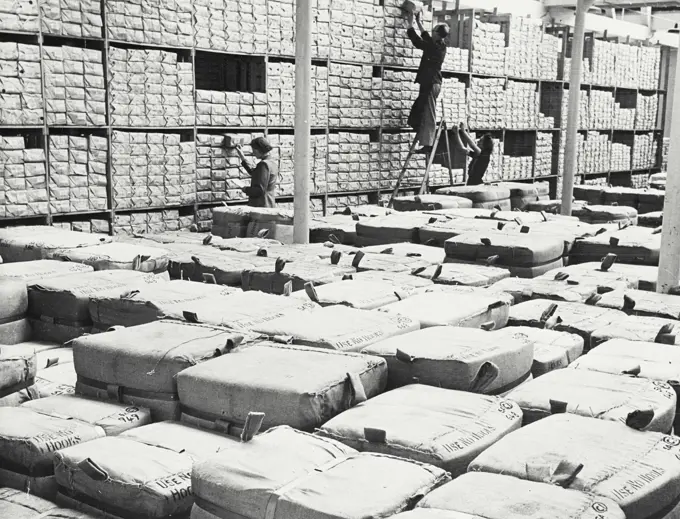 Vintage photograph. Large sales warehouse of the cotton mill in Lancashire England