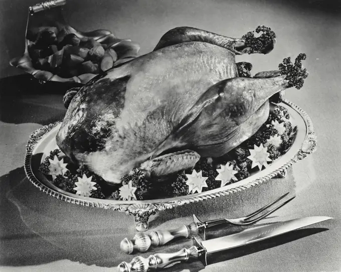 Vintage photograph. Turkey and well and tree platter ready for carpet
