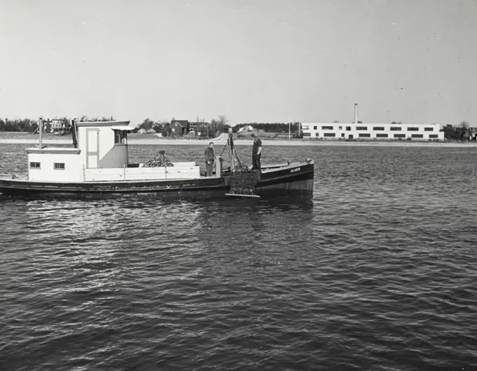 Vintage photograph. Oyster boat getting ready to throw the net over the side to scoop up oysters from the bottom of Gardner's Bay. Bluepoint Company