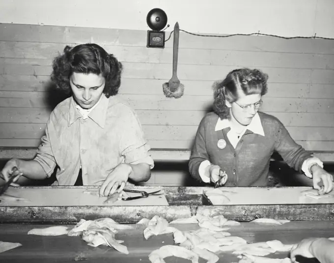 Vintage photograph. Fillet candling line and inspection, General Seafoods Division, Rockland, Maine