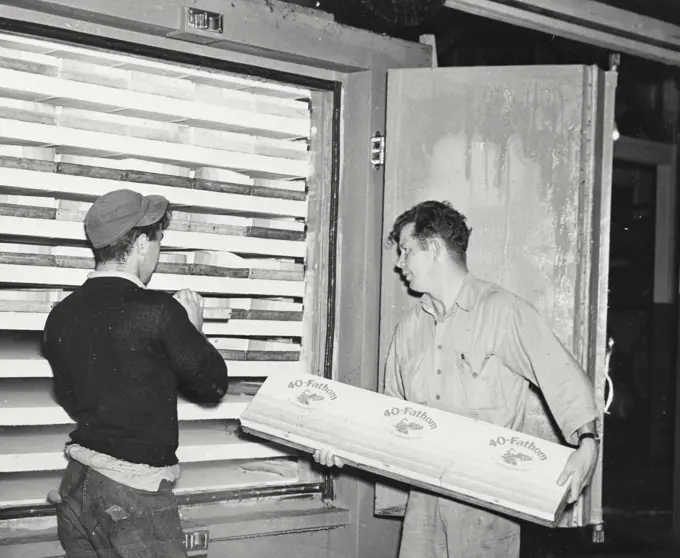 Vintage photograph. Loading freezer with packaged fish