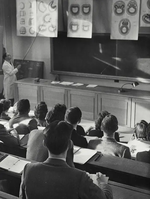 Vintage photograph. A lecture in Embryology in the Department of Zoology, University of Sheffield, England