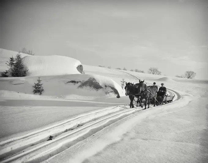 Vintage photograph. Winter scene showing horses pulling carriage in snow