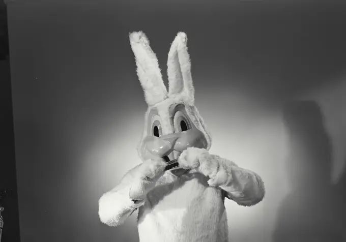 Vintage Photograph. Person in bunny suit playing a harmonica