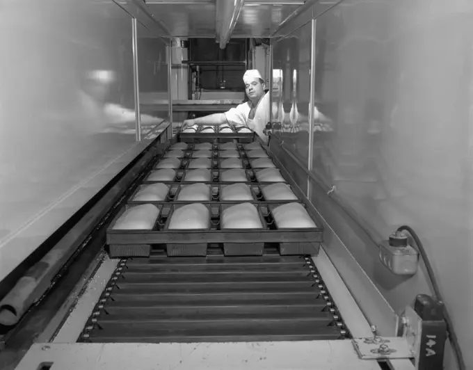 Baker baking breads in a bakery, Nissen Bakery, Worcester, Massachusetts, USA