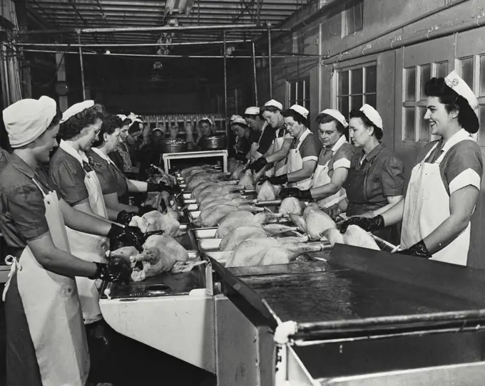 Vintage photograph. Group of female workers processing turkeys for frozen food