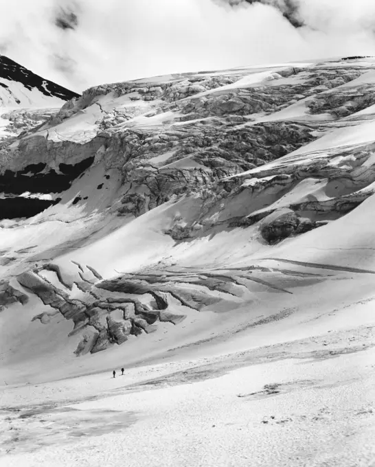 Mountain covered with snow, Canadian Rockies, Canada