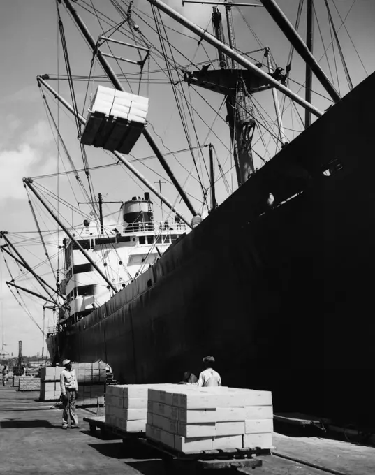 Cargo containers being loaded into an industrial ship, Tampa, Florida, USA