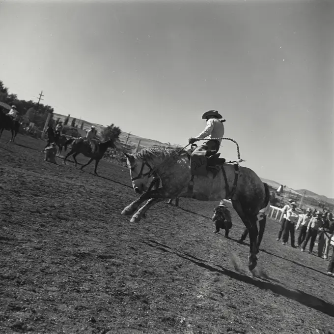 Vintage Photograph. Cowboy rider on bucking horse at a rodeo show in Reno, Nevada