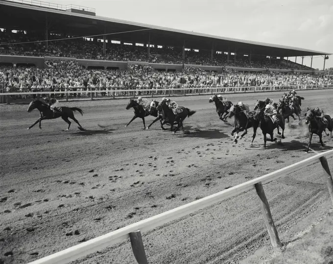 Vintage Photograph. Horse Racing at Delaware Park. Frame 4