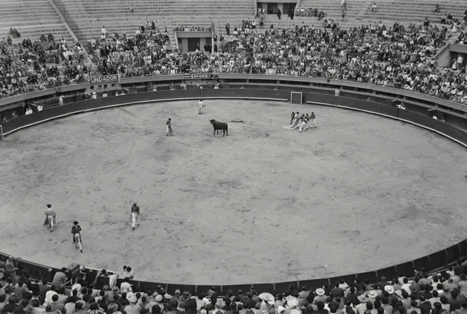 Vintage Photograph. Bull fighting in the arena at Tres Caminos. Frame 1