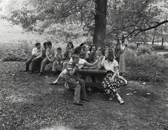 Vintage Photograph. Teenagers having outdoor picnic