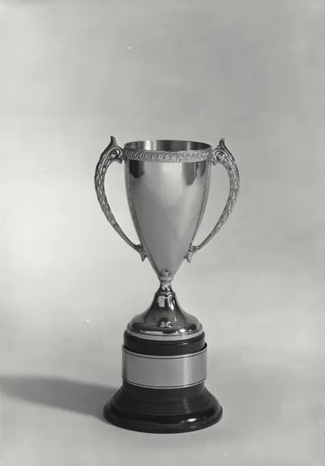 Vintage Photograph. Trophy sitting on grey background, Frame 3