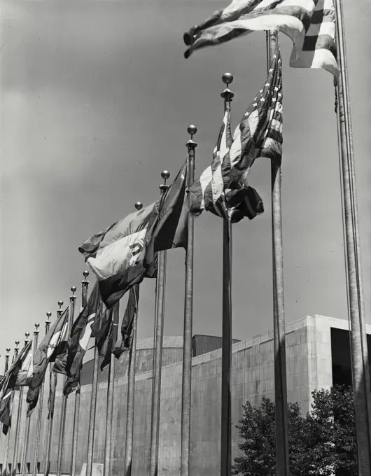 Vintage Photograph. Row of flags waving on flagpoles near United Nations building, New York City, Frame 2