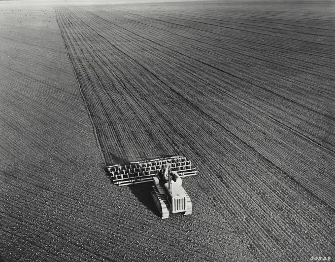 Vintage Photograph. Plow and drag harrow preparing land for bean production.