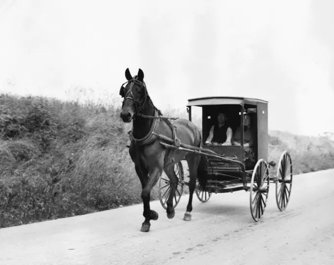 Two people sitting in an Amish carriage, Pennsylvania, USA