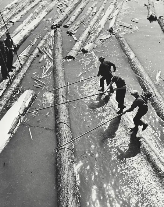 Vintage photograph. High angle view of three lumberjacks pulling logs out from Powell River