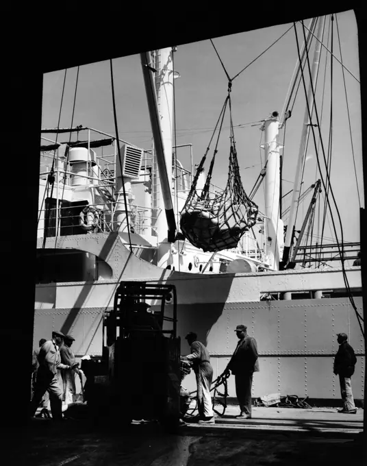 Group of dock workers working on harbor