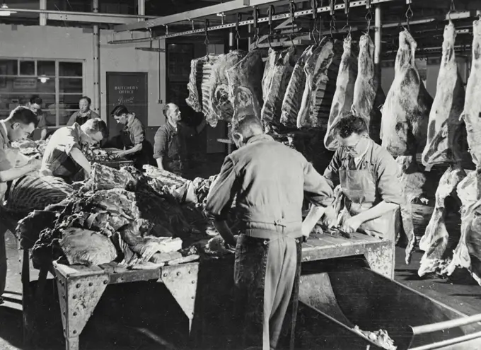 Vintage photograph. Industry in Northern Ireland. Butchers at work in the canning and quick freezing process