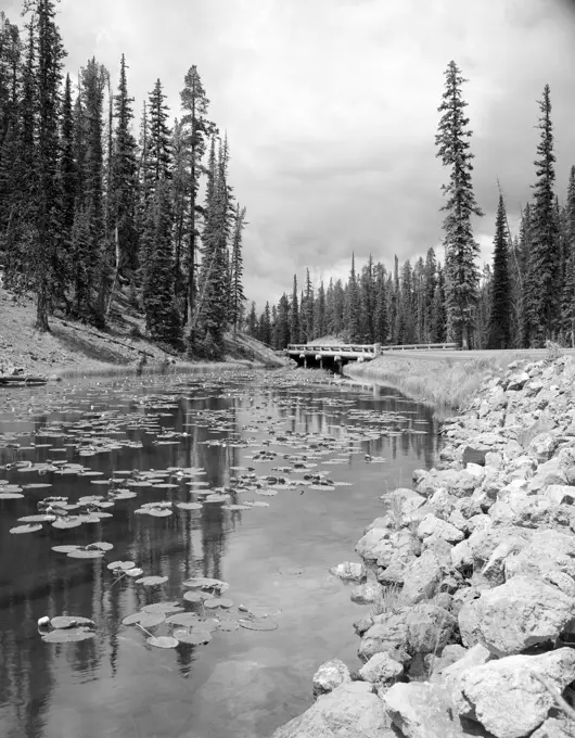 USA, Wyoming, Yellowstone National Park, Isa Lake