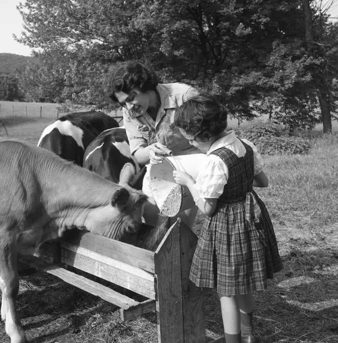 Mother and girl feeding cows