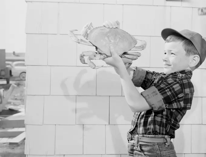 Boy holding big crab