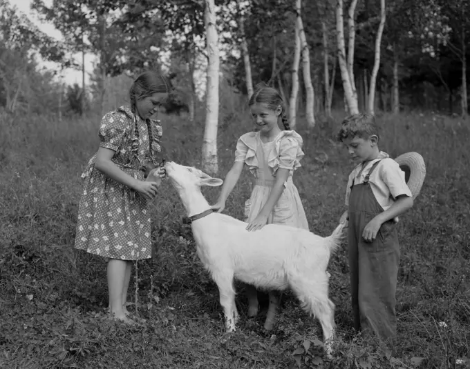 Boy and girls playing with goat