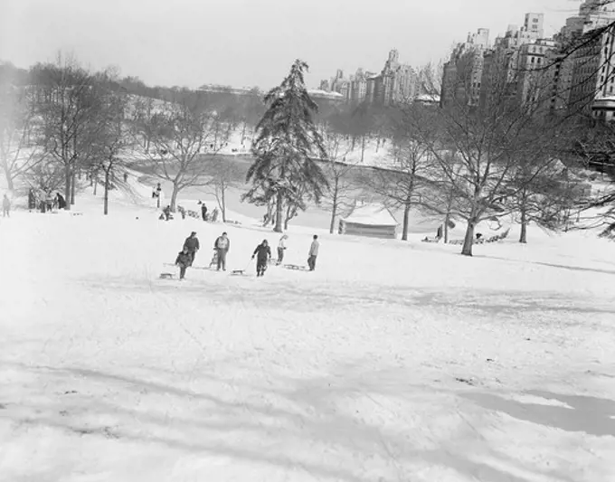 USA, New York State, New York City, Central Park in winter