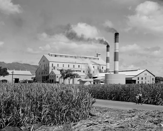 USA, Hawaii Islands, Oahu, Sugar mill, at Ewa Plantation