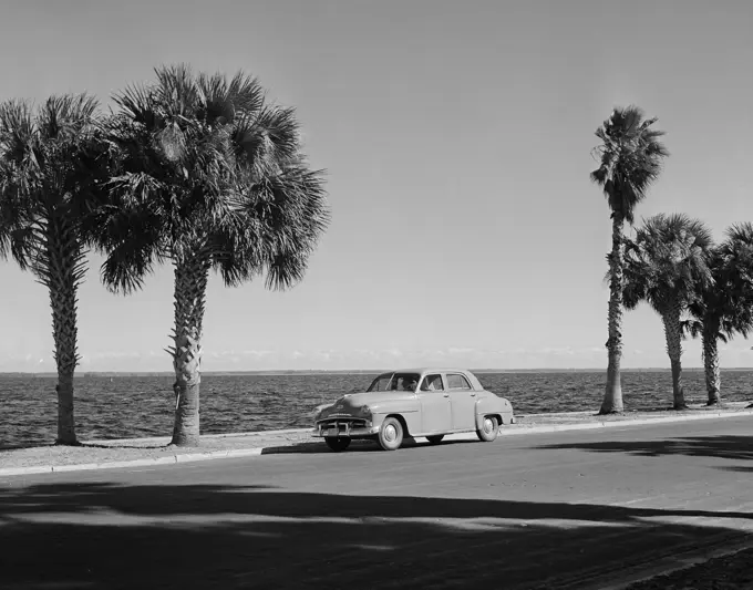 USA, Florida, Stanford, St. John's River