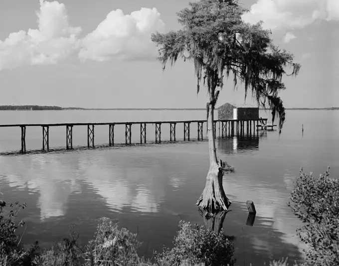 USA, Florida, St. John's River at Orange Park