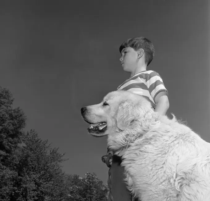 Boy standing with dog in park