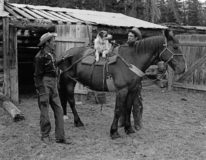 Pair of cowboys with dog on horseback