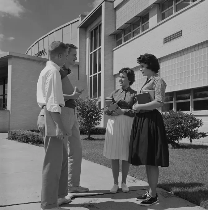 Teenagers talking in front of school