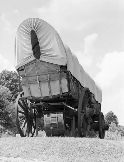 Old wagon on meadow