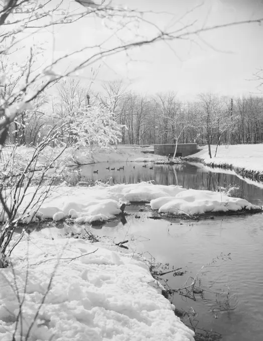 Winter scenic.