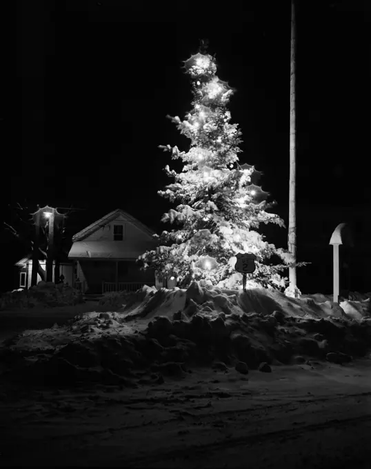 USA, New Hampshire, Jefferson, Christmas tree at night