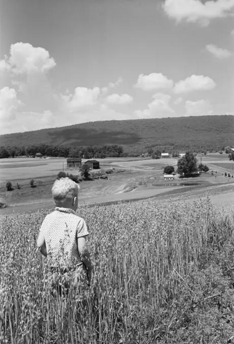 Boy walking in field