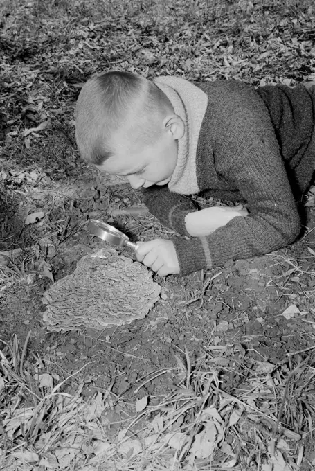 boy examining anthill with magnifying glass