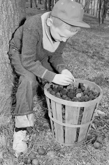 Boy picking-up nuts