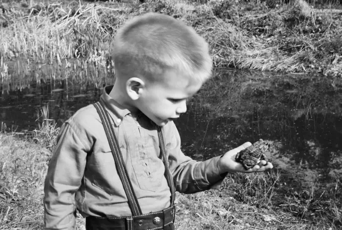 Boy examining frog