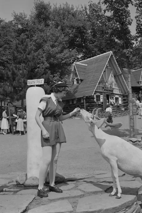 Girl feeding deer