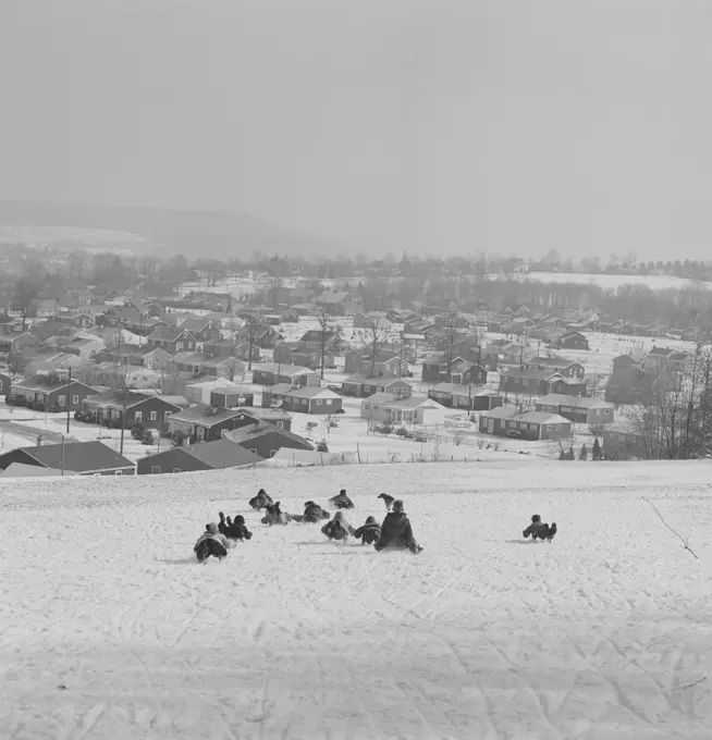 Children sledding down hill