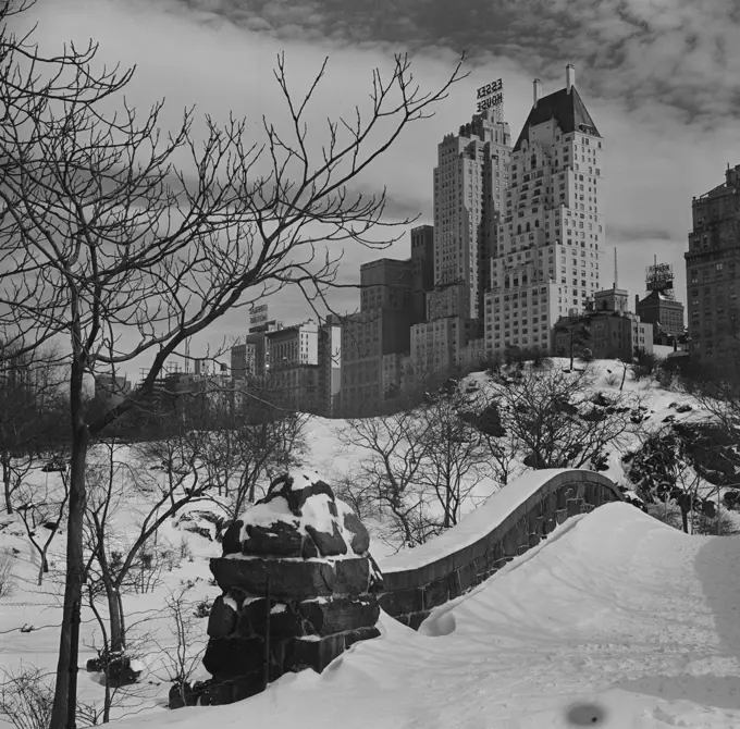 USA, New York City, Central Park in winter