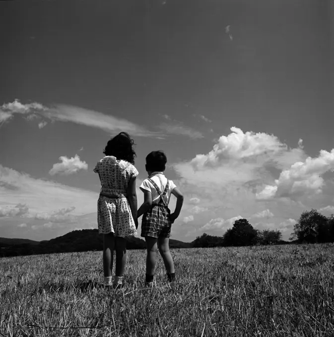 Brother and sister standing on pasture and holding hands, rear view