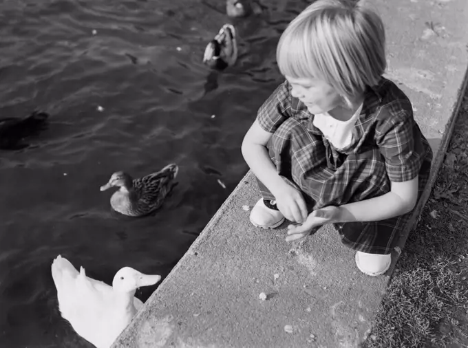Girl feeding ducks in pond